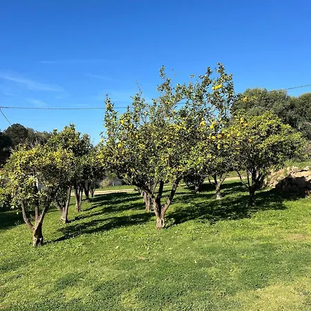 Familiale, Vue Et Campagne