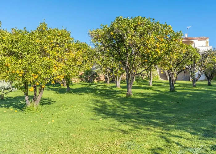 Villa Familiale, Vue Et Campagne *